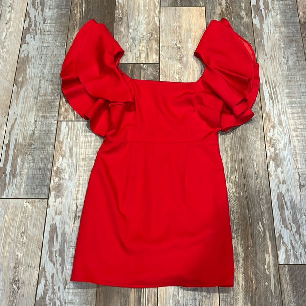 TCEC boutique red, ruffled sleeved dress. Worn only for the photo shoot.
